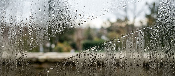How to&nbsp;clean windows. Comprehensive guide