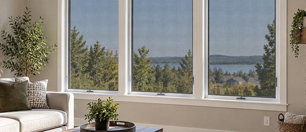 Window Screens 101