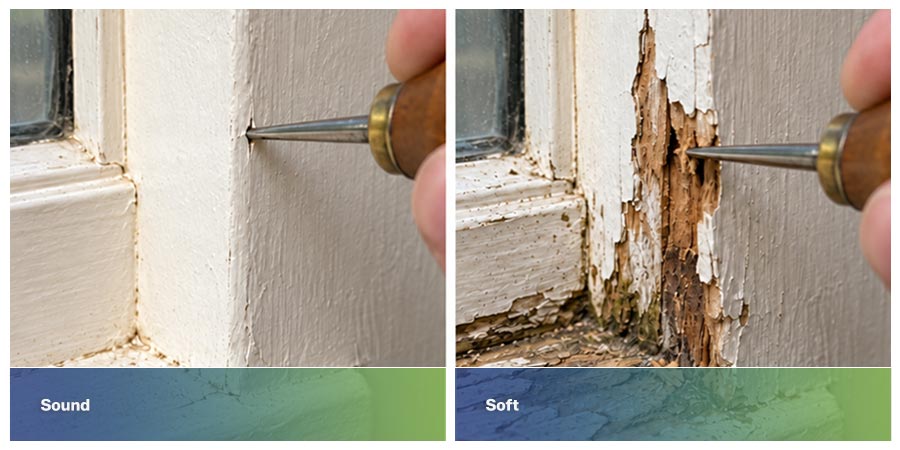 Awl pressed into soft window sill wood showing decay hidden under paint, next to sound wood that resists