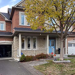 Newmarket Projects